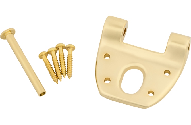 Bigsby Bigsby Extra Short Hinge w/Hinge Pin and Screws Gold