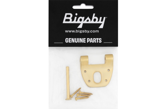 Bigsby Bigsby Extra Short Hinge w/Hinge Pin and Screws Gold