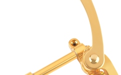 Bigsby Bigsby Licenced Bigsby B500G Gold