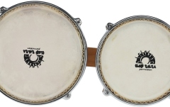 Bongo Gewa Bongo