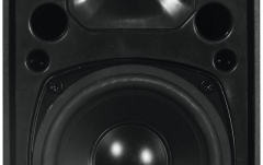 Boxe de Adresare Publică Omnitronic ODP-204T Black