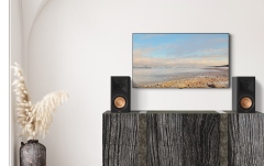 Boxe de raft pasive Klipsch RP-600M II Ebony Pair