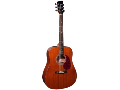 BD200 Mahogany Top Dreadnought