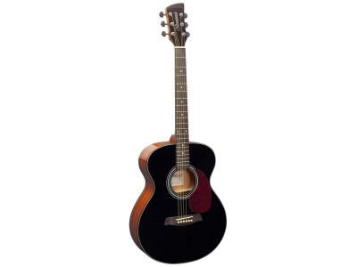 BF200 Grand Auditorium - Black