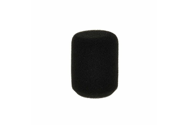 W1001 Windscreen
