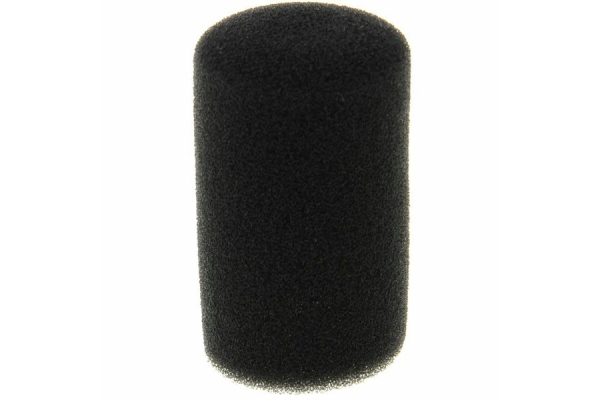 Foam for C1000 Inside