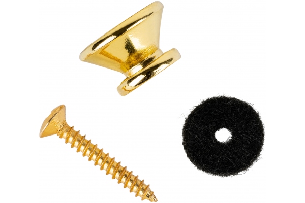 Strap pins (pair) incl. washer & screw - Gold