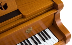 Bösendorfer 280VC Strauss Edition