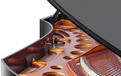 Bösendorfer Concert Grand 290 Imperial