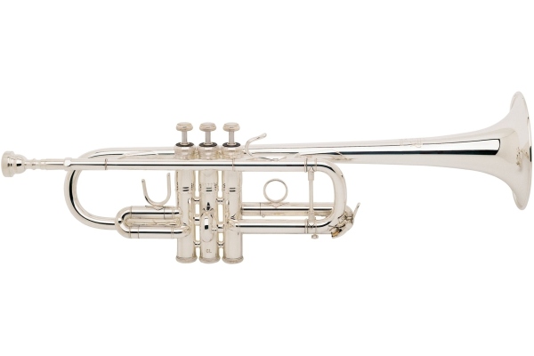 Stradivarius C180L239G