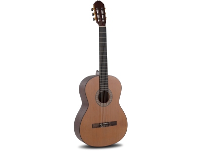 Principio Serie C CA-CM 4/4 Cedar