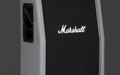 Cabinet Chitară Electrică Marshall 2536A Silver Jubilee