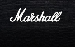 Cabinet de chitară Marshall 1960A Angled Cabinet