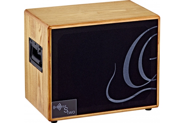 Acoustic Amplification Speaker Cabinet - 150W/4 OHM 8" Speaker incl. Bag