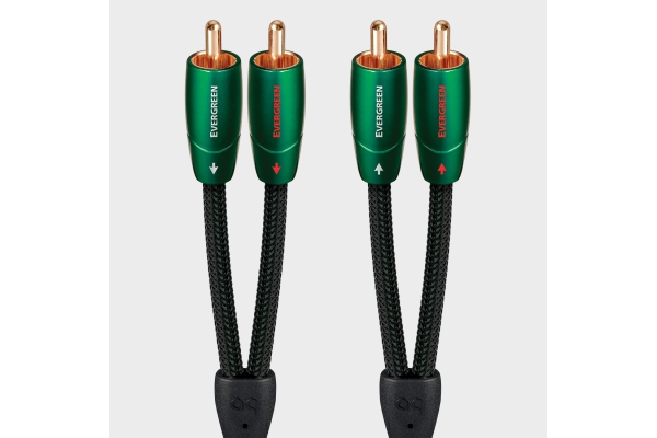 Evergreen 12m 2RCA - 2RCA Evergreen 12m 2RCA - 2RCA