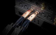 Cablu audio 2XLR - 2XLR   Audioquest Thunderbird 1.0m 2XLR - 2XLR  