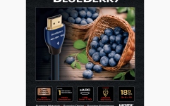 Cablu HDMI 4K  Audioquest BlueBerry HDMI 2.1/HDCP 2.2 eARC 2m