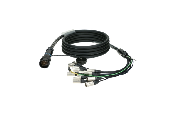 OmniLIVE - RMP 54p M - 16x XLR M16-channel - digital fanout - PVC - plastic / ZEP - 6 m