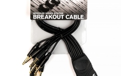 Cablu multicore Daddario Modular Snake XLR Male Breakout
