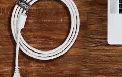 Cablu USB UDG Ultimate Audio Cable USB 3.0 A-C Straight 1.5m - White