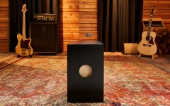 Cajon electro-acustic Meinl Snarecraft Pickup Cajon - Baltic Birch
