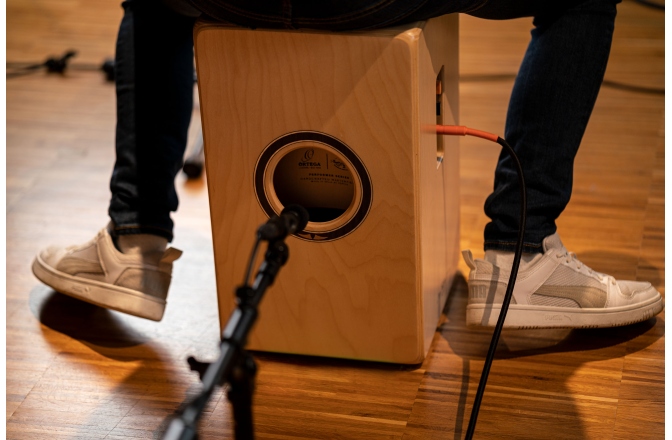 Cajon Ortega Performer Series Cajon - Cedar