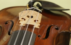 Căluș vioară Gliga Calus vioara (profesional)