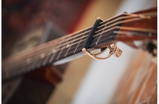 Capodastru Shubb  Acoustic Rose Gold F1G-Rose