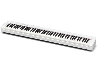 CDP-S110 WE