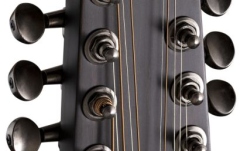 Chitară acustică 12 corzi Baton Rouge X11LS/F-AB-12 Antique Brown