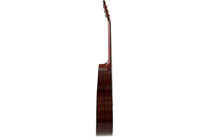Chitară Acustică Applause Wood Classics AAD96-4 Solid Natural Gloss