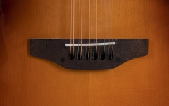 Chitara acustica Applause  Wood Classics AAJ96-1 Jumbo 12-string Sunburst