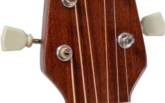 Chitara acustica  Applause Wood Classics AAS96-1 Dreadnought Slope Shoulder Sunburst
