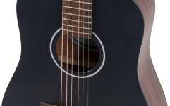 Chitara acustica  Applause  Wood Classics AAT96-4S Travel Mat
