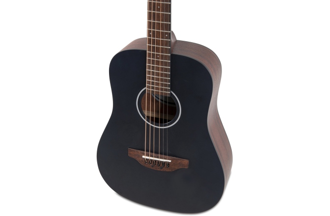Chitara acustica  Applause  Wood Classics AAT96-4S Travel Mat