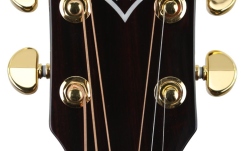 Chitară acustică Arrow Platinium A MH/MH Mahogany/Mahogany