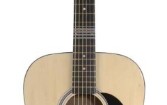 Chitara acustica Dreadnought Stagg SW201 N