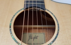 Chitara acustica Flight AG-550C NA