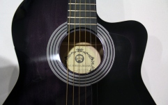 Chitara acustica Folk Hora Reghin Standard M Cutaway
