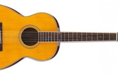 Chitara acustica Ibanez PN15