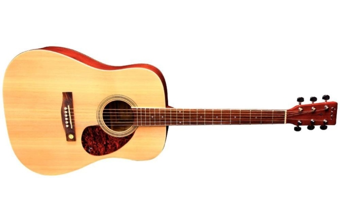 Chitara acustica Tenson D10 Dreadnought Natural