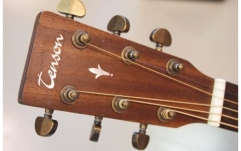 Chitara acustica Tenson D15 Dreadnaught