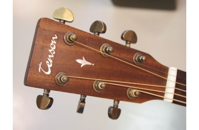 Chitara acustica Tenson D15 Dreadnaught