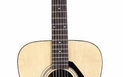Chitara acustica Western Framus Texan NT