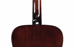 Chitara acustica Western Framus Texan NT