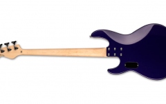 Chitară bas cu 4 corzi ESP LTD AP-204 Dark Metallic Purple