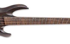 Chitară bas cu 5 corzi LTD B-1005 Multi-Scale NS