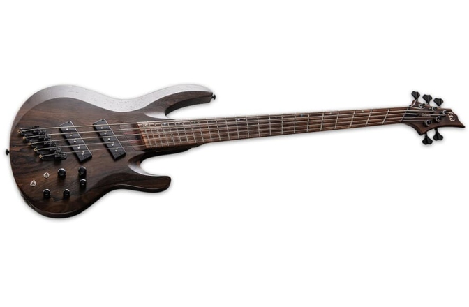 Chitară bas cu 5 corzi LTD B-1005 Multi-Scale NS