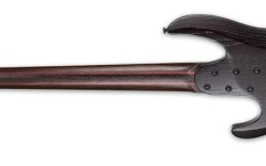 Chitară bas cu 5 corzi LTD B-1005 Multi-Scale NS