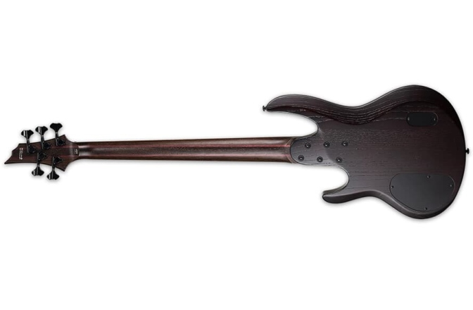 Chitară bas cu 5 corzi LTD B-1005 Multi-Scale NS